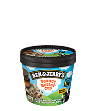 Peanut Butter Cup Original Ice Cream Mini-kelimky